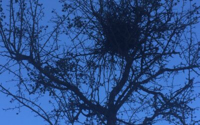 The power of silence: a sober mind