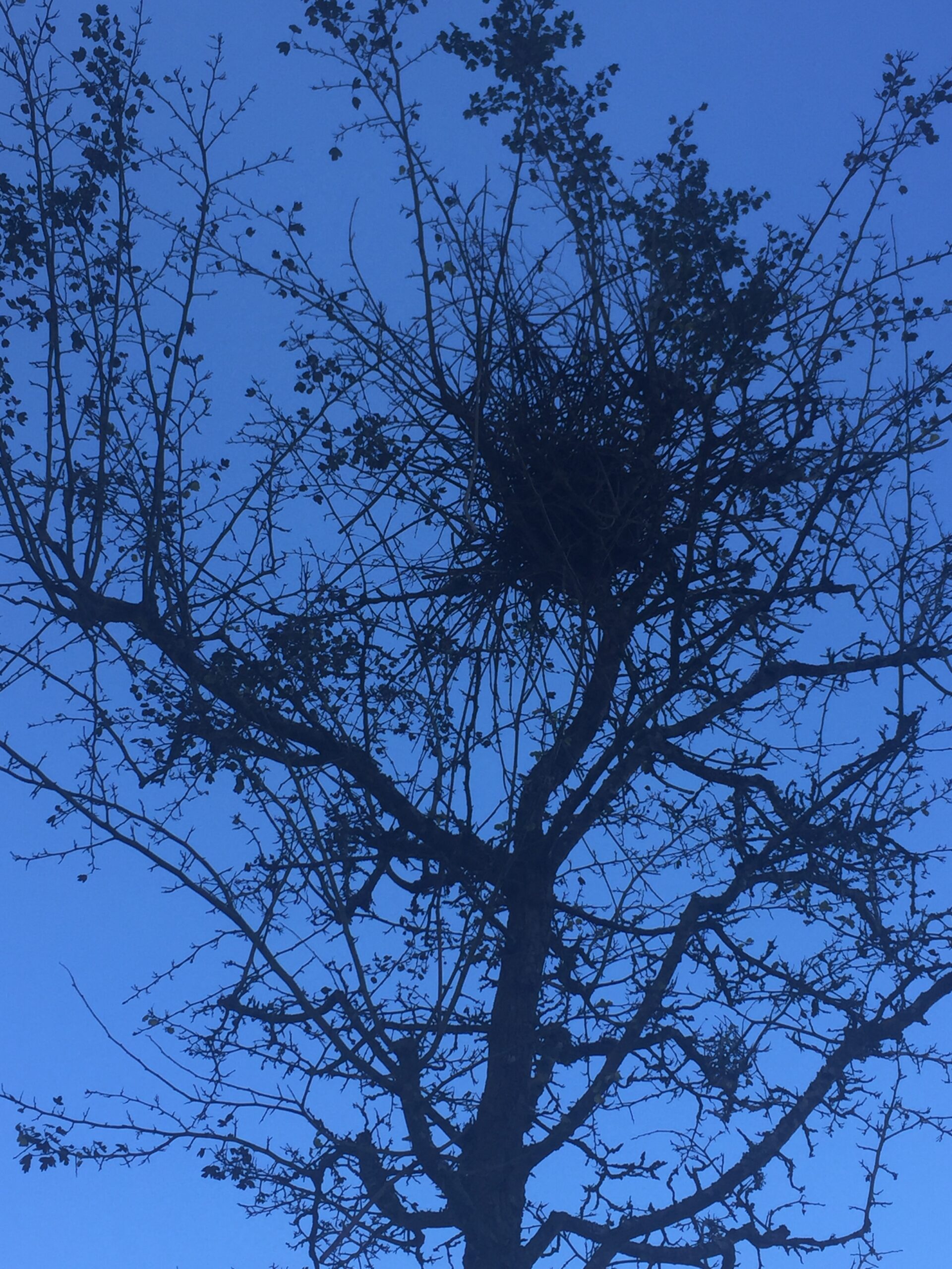 Ritirarsi per ritrovare la sobrietà